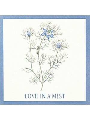 Enclosure Cards with Envelopes 22-99L Love In A Mist