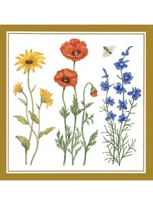 Enclosure Cards with Envelopes 22-401 Floral Trio