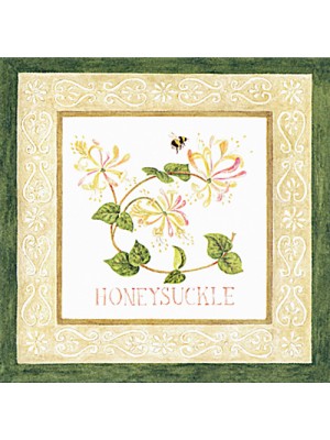 Enclosure Cards with Envelopes 22-53HS Honeysuckle 